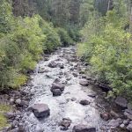 Evergreen Picnic Site and Campground