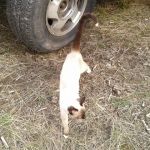 Little Boulder Campground