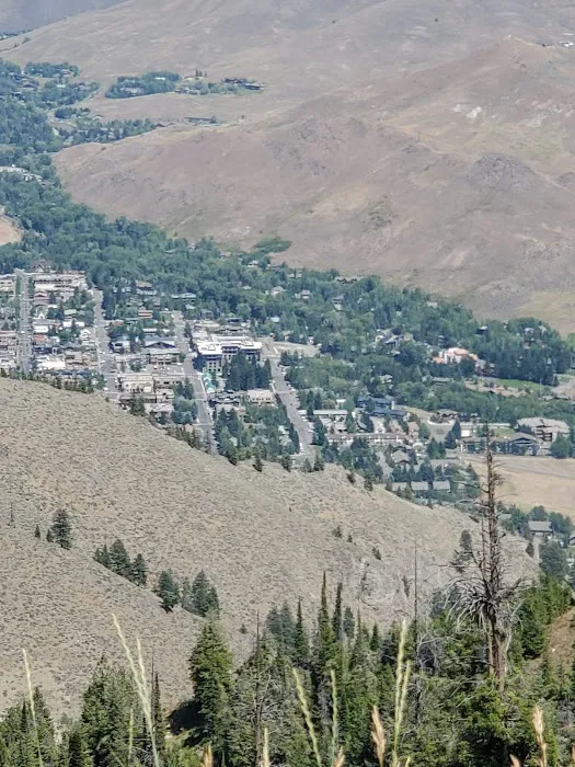 Bald Mountain Campground 1