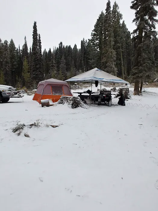 Bald Mountain Campground 0