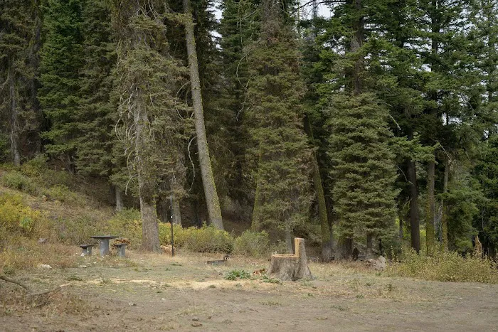 Bald Mountain Campground 3