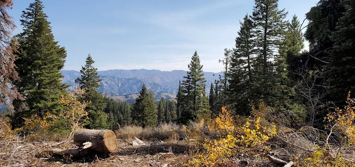 Bald Mountain Campground 8