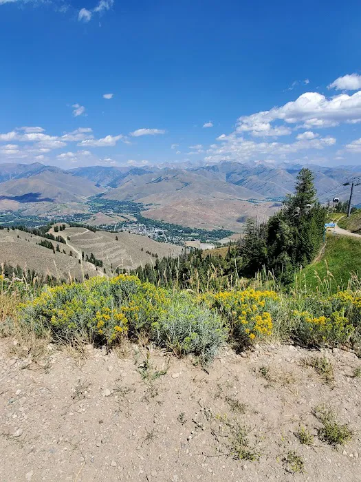 Bald Mountain Campground 7