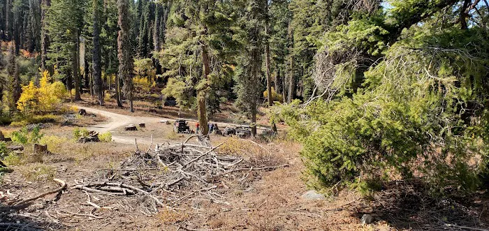 Bald Mountain Campground 5