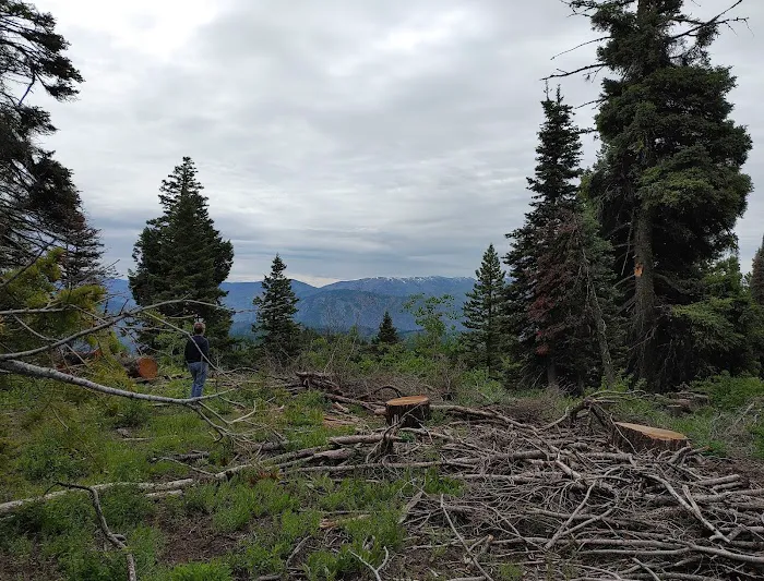 Bald Mountain Campground 9