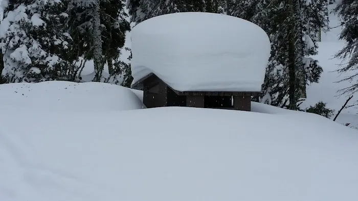 Bald Mountain Campground 6