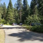 Hayfork Group Campground