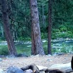 Badger Creek Campground