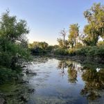Martin's Landing Campground