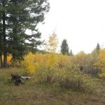 East Camas Campground