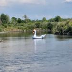 Warm Slough Campsite