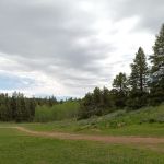 Luthy Meadow Camp Site