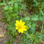 Table Rock Campground (Group Site)