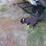 Teton Corners - Private Nature Preserve