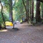 Samuel P. Taylor State Park