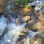 Reynolds Park Campground Access