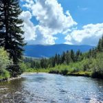 Blue River Campground