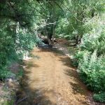 Fountain Creek Campground