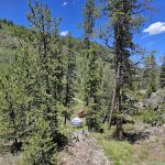 Gold Park Campground