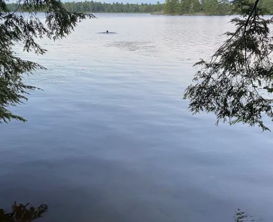 Poplar Campground