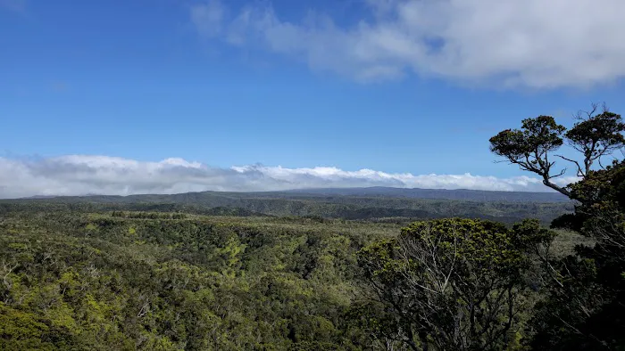 Kokeʻe State Park 1