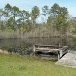 Suwannee River Hideaway