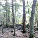 Fourth Iron Campground