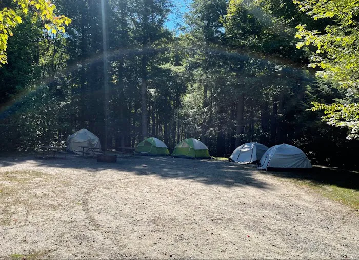 Barnes Field Group Campground 8