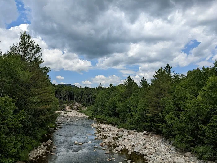 Barnes Field Group Campground 3