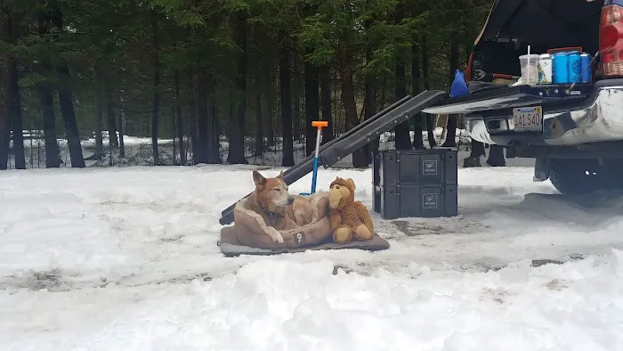 Barnes Field Group Campground 2