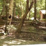 Wild River Campground