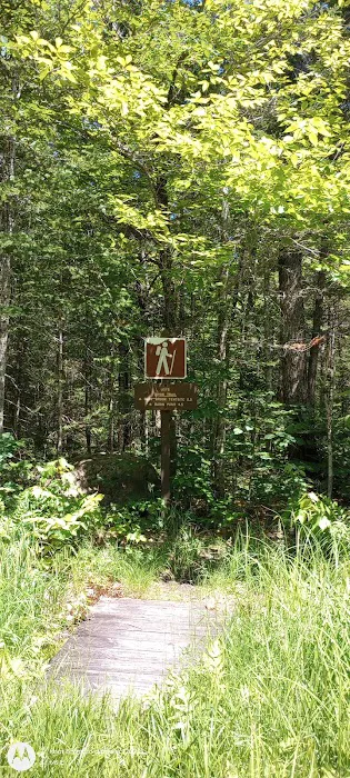 Wild River Campground 1