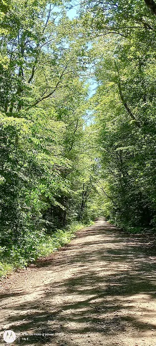 Wild River Campground 3