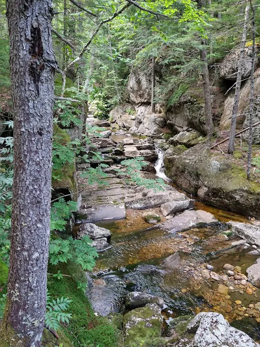 Wild River Campground 2