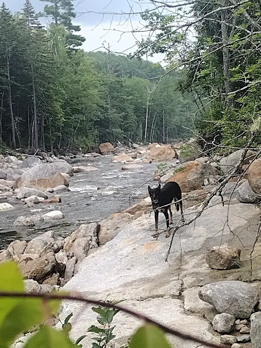 Wild River Campground 8