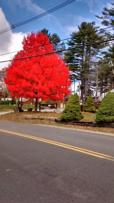 Long Island Bridge Campground 0