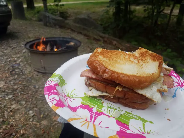 Bear's Pine Woods Campground & Resort 0