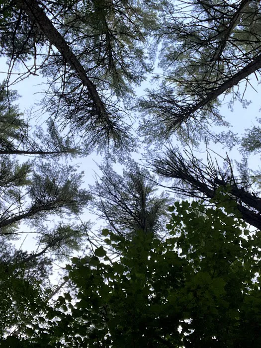 Swan's Falls Campground and Canoe Access 6