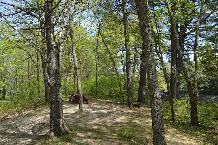 On the Saco Family Campground 8