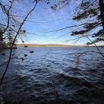 The Queen's Property