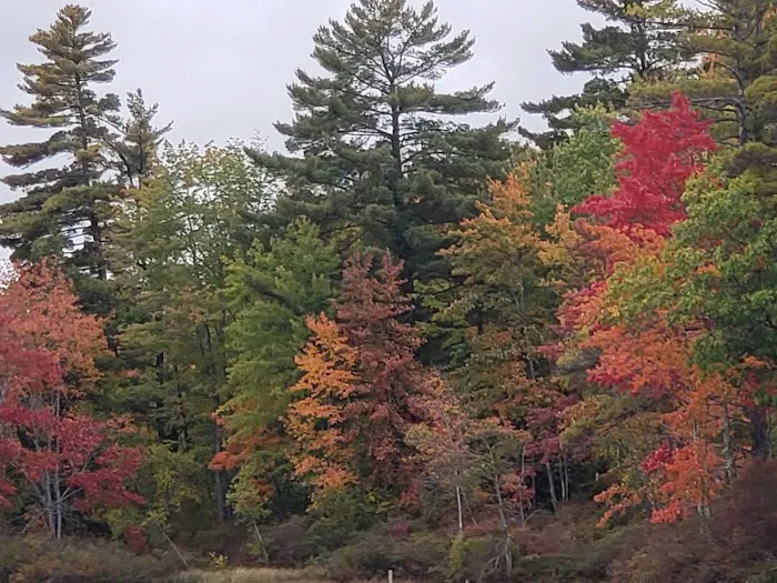 Colonial Mast Campground 4