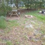 Lot E 2 White Oaks Area within Buena Vista Campground and Resort