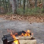 Brendan T Byrne State Forest Campground
