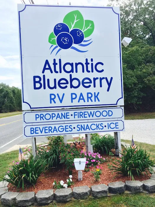 Atlantic Blueberry RV Park 8