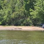 Shore Park Campground Aberdeen