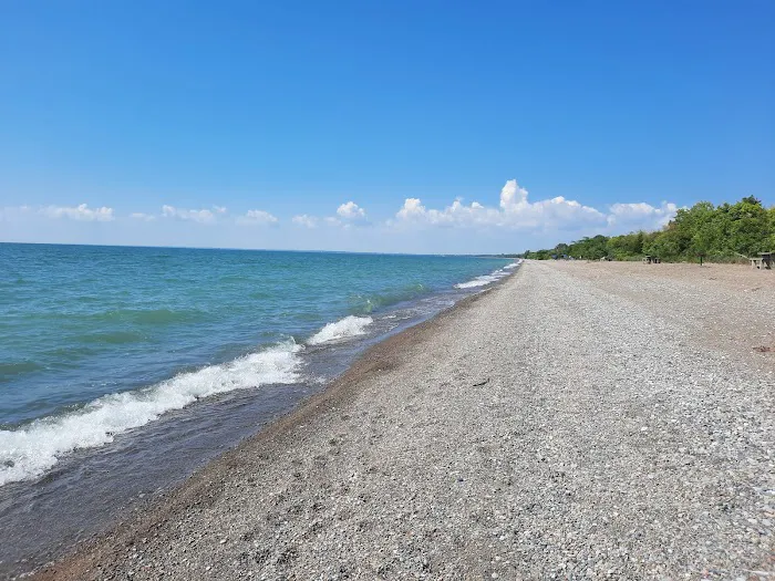 Point Pelee National Park 5