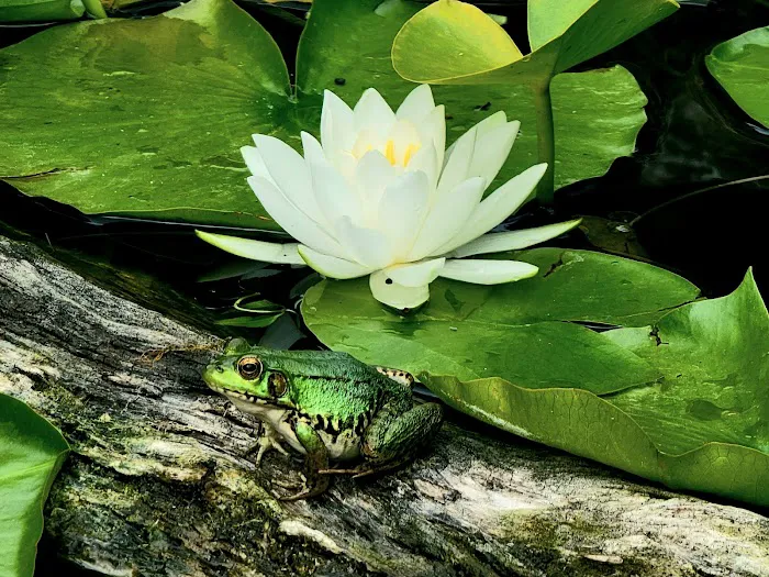 Point Pelee National Park 6