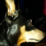 Echo Valley Campground