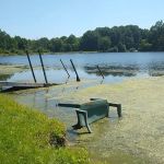 Flying Finn Family Campground