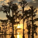 Cypress Cove Marina and Resort